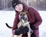 Собаки в Москве: Маленькая собачка 10 кг в дар Девочка, Бесплатно - фото 1