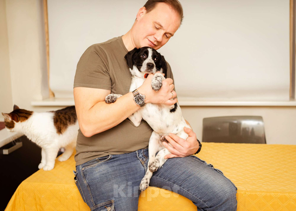 Собаки в Москве: Щенок маленькой собаки Мальчик, Бесплатно - фото 2