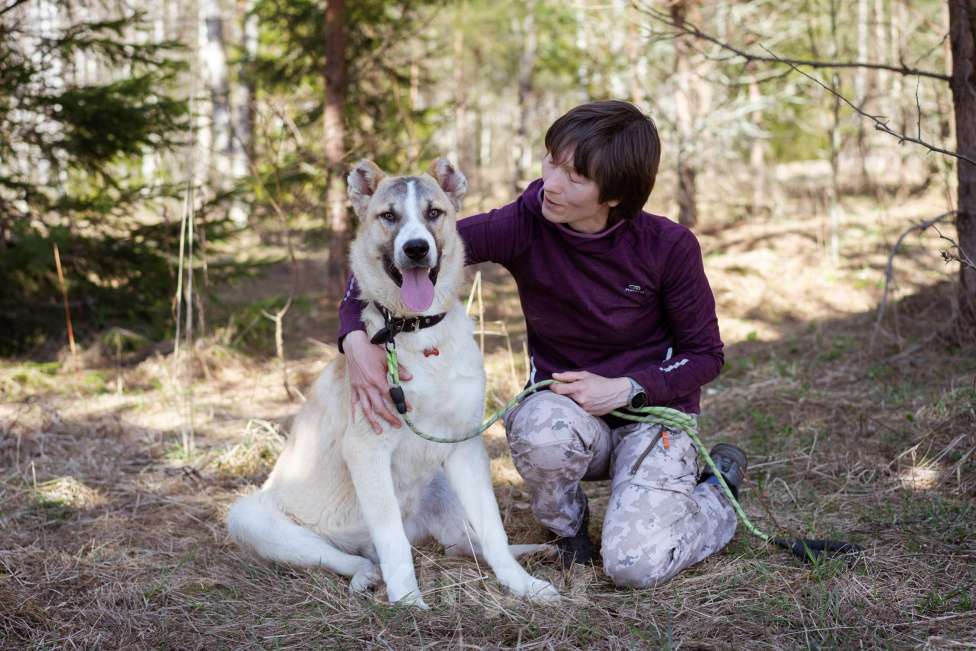 Собаки в Москве: Молодой, добрый пёсель в добрые руки Мальчик, Бесплатно - фото 2