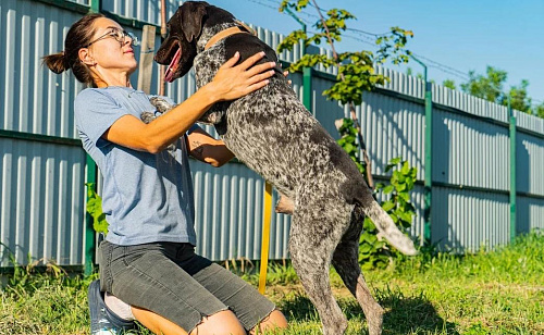 Курцхар мальчик