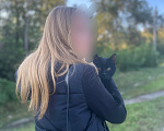 Кошки в Тюмени: отдам кошку в добрые руки срочно Девочка, Бесплатно - фото 1