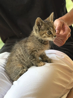 Это Тинька! Вес — котлетка, характер — ракетка!