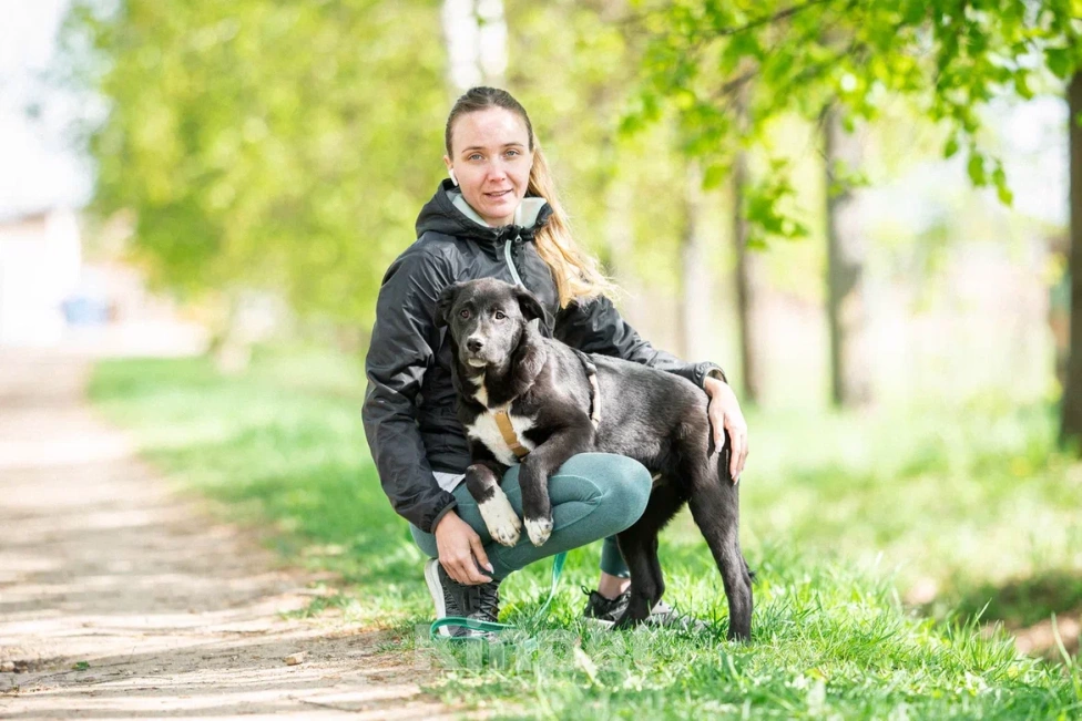 Собаки в Москве: Щенок в дар  Мальчик, Бесплатно - фото 3