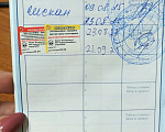 Собаки в Пятигорске: Бишон фризе продаётся девочка Девочка, 50 000 руб. - фото 6