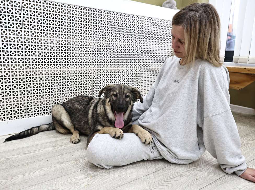 Собаки в Москве: Щенки бесплатно в Москве Мальчик, Бесплатно - фото 7