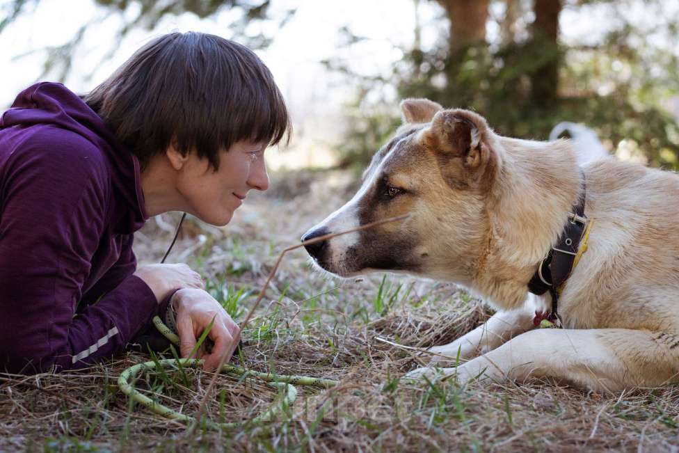 Собаки в Москве: Молодой, добрый пёсель в добрые руки Мальчик, Бесплатно - фото 4
