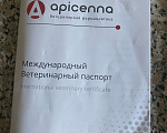 Собаки в Самаре: Продаю Американский стаффордширский терьер Девочка, 45 000 руб. - фото 3