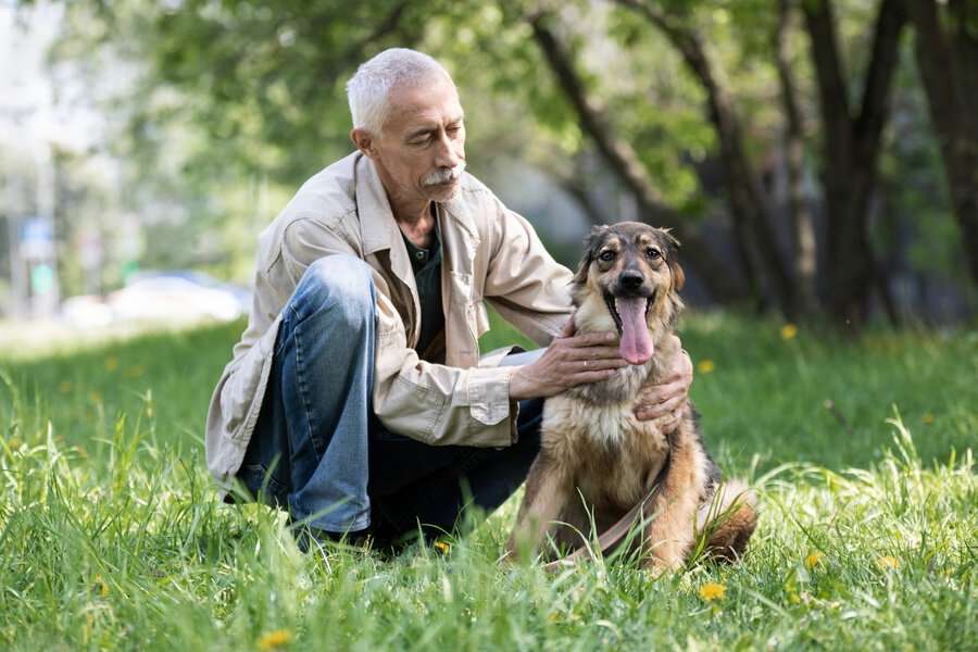 Собаки в Москве: Мила - это не просто собака, это настоящее воплощение собачьей преданности и любви. Девочка, Бесплатно - фото 2