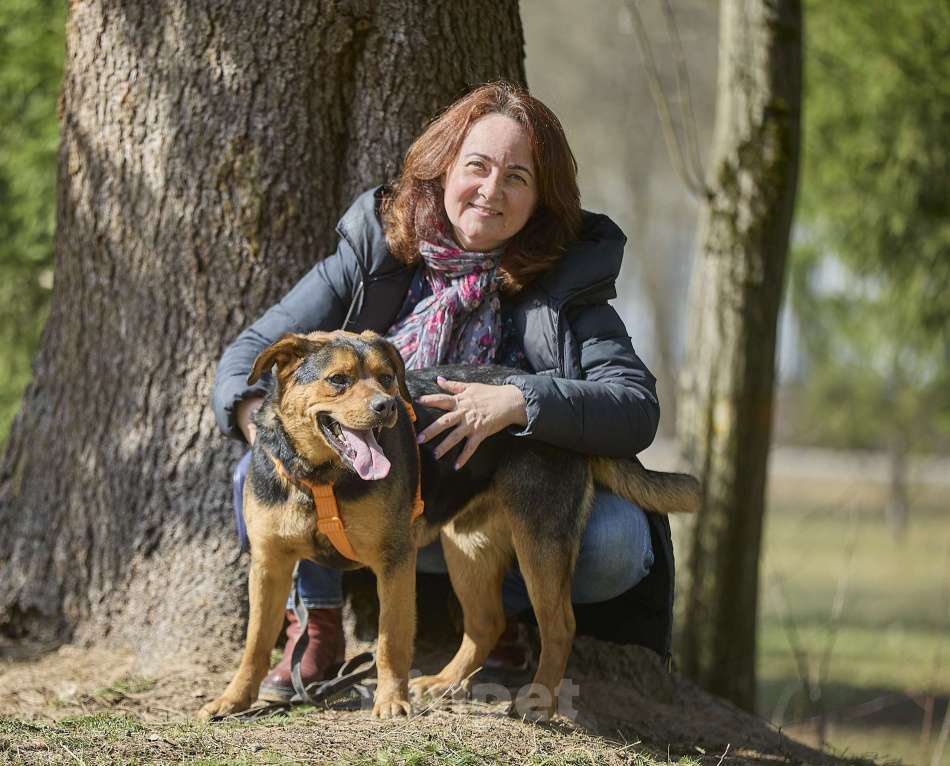 Собаки в Москве: Пёс в добрые руки Мальчик, Бесплатно - фото 10