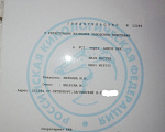 Собаки в Санкт-Петербурге: Инфинити короткошерстная чихуа шоколадного окраса Девочка, 80 000 руб. - фото 9