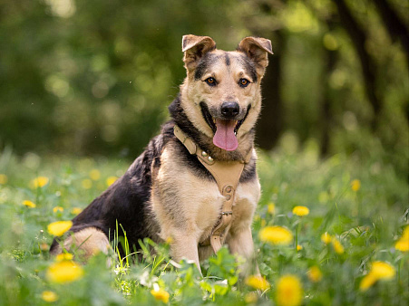 Барри ищет своего человека