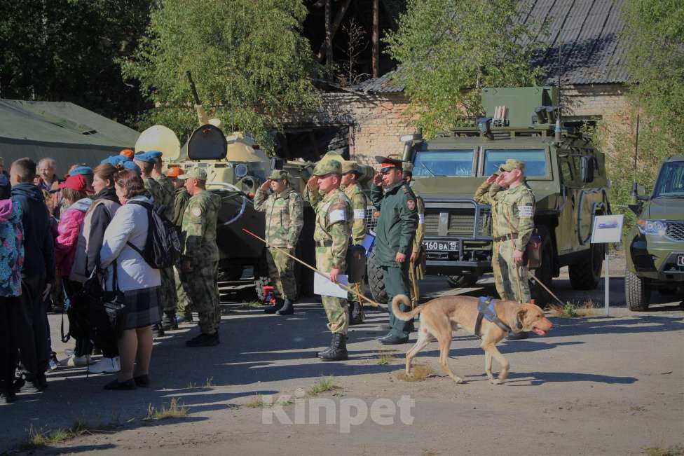 Собаки в других городах Московской области: Взрослый пёс в добрые руки Мальчик, Бесплатно - фото 3