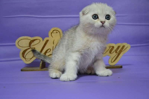 Серебристый мраморный мальчик