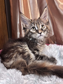 Крупная девчоночка