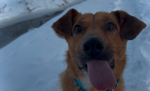 Подари надежду💔