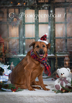 Тайф - большой ребёнок 