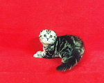 Кошки в Колпашево: Мраморная красотка, 1 руб. - фото 4