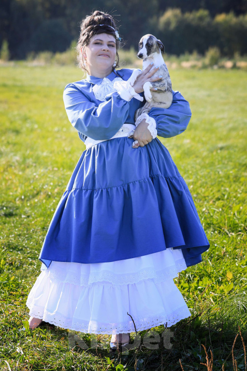 Собаки в Москве: Тиграш уиппет Мальчик, 40 000 руб. - фото 4