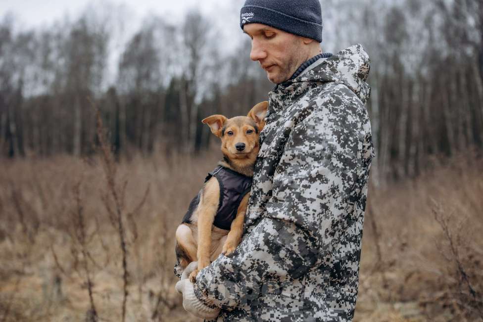Собаки в Москве: Булка очень ищет семью! Девочка, Бесплатно - фото 9