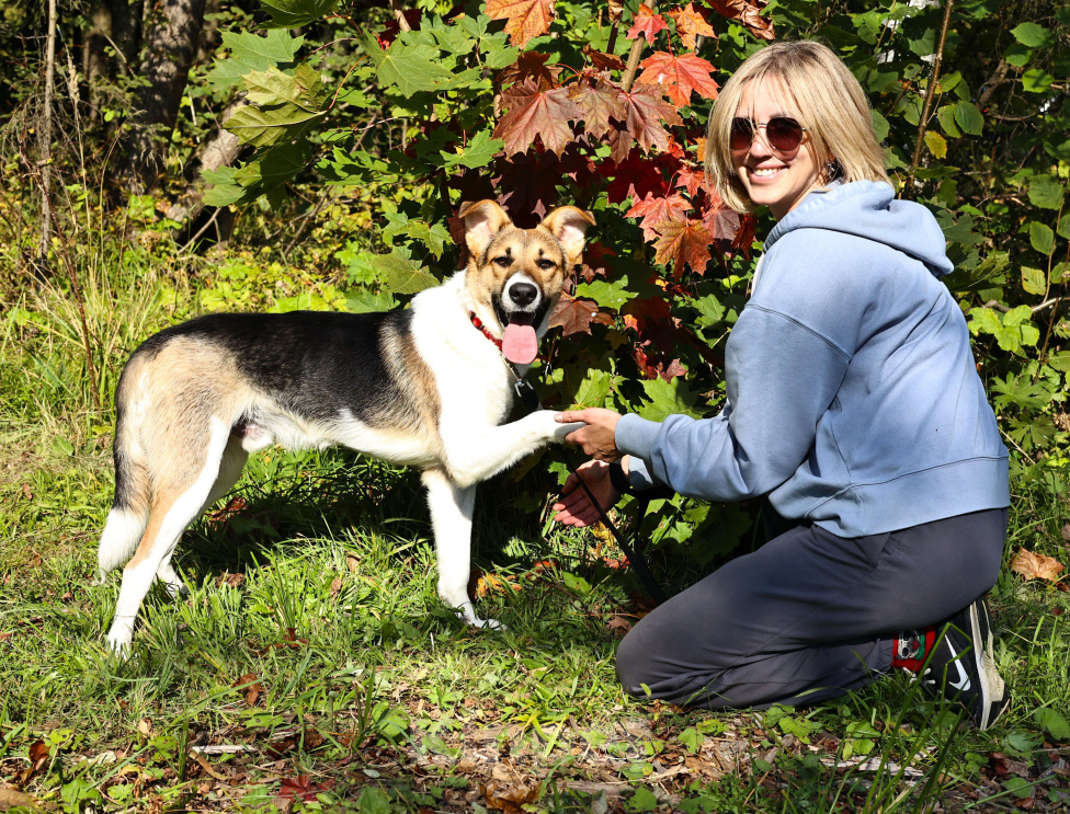 Собаки в Москве: Щенок в добрые руки бесплатно Москва Мальчик, Бесплатно - фото 7