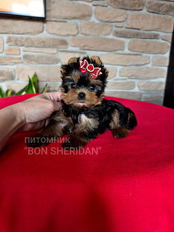 Крошечная мини девочка