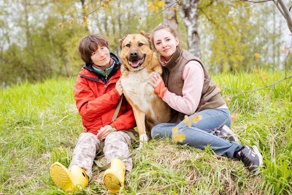 Собаки в Москве: Алабай в добрые руки Мальчик, Бесплатно - фото 7