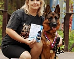 Собаки в Кстово: Щенок немецкой овчарки Девочка, 35 000 руб. - фото 5