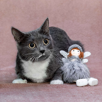 Маленькая героиня с большим сердцем