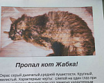 Кошки в Симферополе: Потерялся любимый котик! Мальчик, 20 000 руб. - фото 2