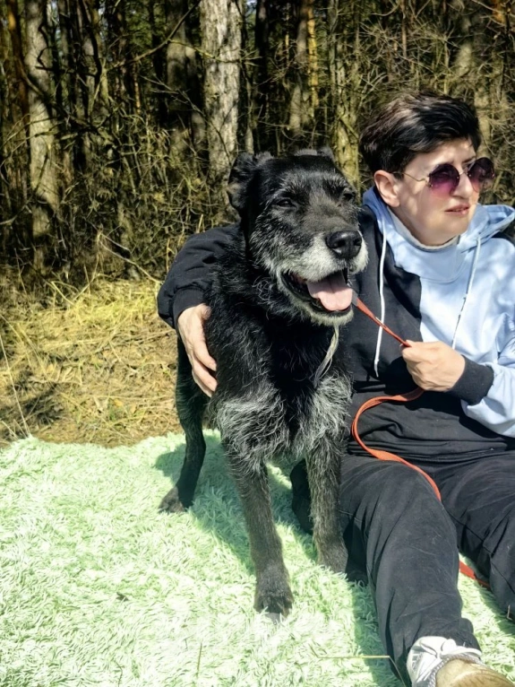 Собаки в Электрогорске: Баги сдали в приют Девочка, Бесплатно - фото 5