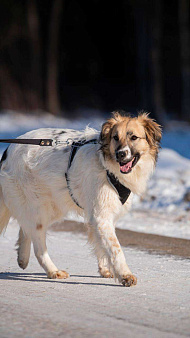 Представьте, что вы промокли насквозь… и вам не суждено высохнуть уже полтора года.