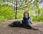 Собаки в Москве: В самые заботливые руки Девочка, 1 руб. - фото 1