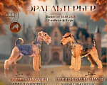 Собаки в Кургане: Щенок  Девочка, Бесплатно - фото 1