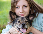 Собаки в Троицке: Небольшая, весёлая девчушка в поисках дома Девочка, Бесплатно - фото 8