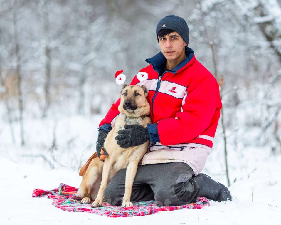 Собаки в других городах Московской области: Самая нежная и ласковая собака ждёт своего хозяина Девочка, Бесплатно - фото 8