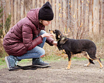 Собаки в Москве: Маленькая собачка из приюта ищет семью. Девочка, Бесплатно - фото 2