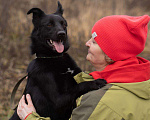 Собаки в Москве: Уголек очень хочет домой  Мальчик, Бесплатно - фото 7
