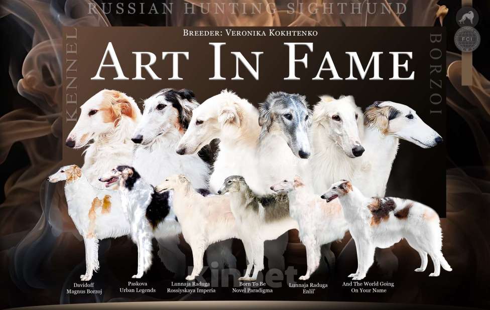 Собаки в Реутове: "Art In Fame" Племенной питомник Русских Псовых Борзых Разнополые, Бесплатно - фото 1