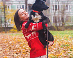 Собаки в Москве: Барри - маленький черный бриллиант в добрые руки Мальчик, 10 руб. - фото 5