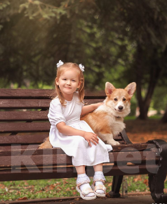 Собаки в Уфе: Девочка 5 месяцев Девочка, 100 000 руб. - фото 1