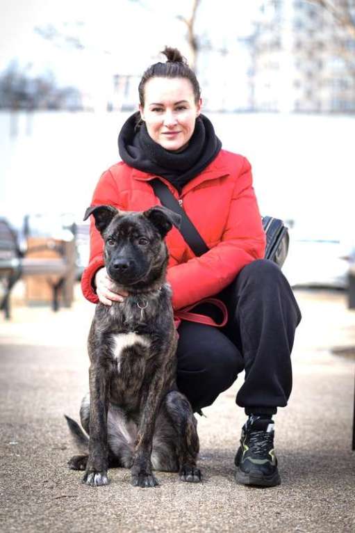 Собаки в Москве: Джессика ищет дом Девочка, 1 руб. - фото 8