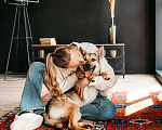 Собаки в Москве: Щенок в добрые руки. Щенок ищет дом. Мальчик, Бесплатно - фото 9