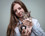 Кошки в Москве: Котёнок в добрые руки Мальчик, 1 руб. - фото 5