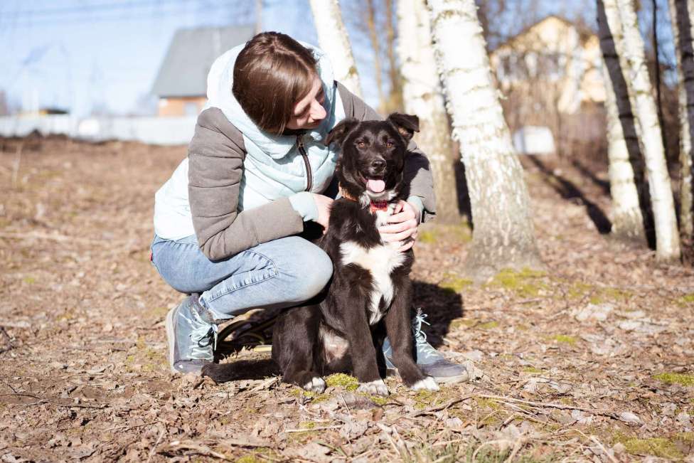 Собаки в Москве: Щенок в дар Мальчик, Бесплатно - фото 9