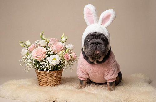 Эксклюзивная девочка бигроп мини