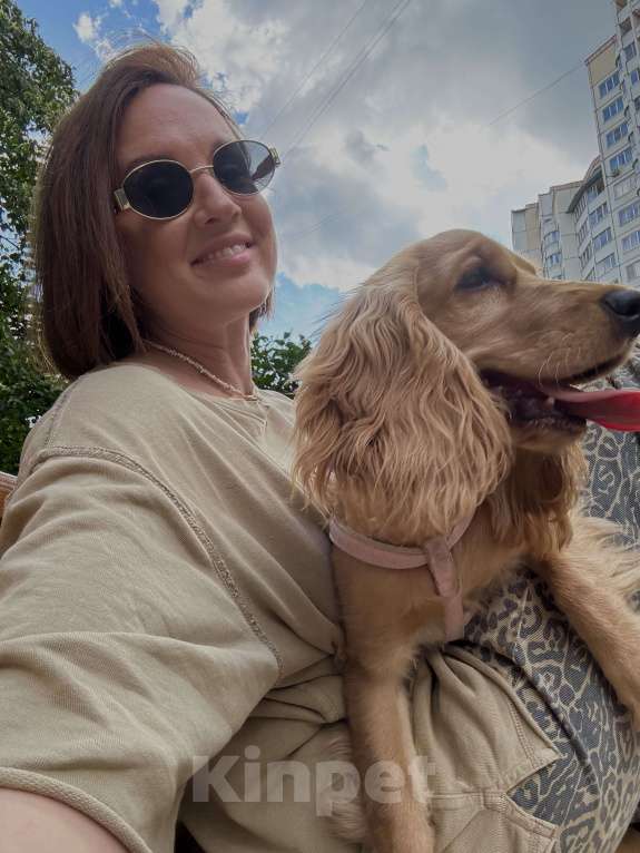 Собаки в Котельнике: Передам любящим хозяевам🫶свою принцессу Девочка, Бесплатно - фото 5