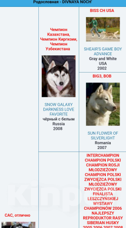 Собаки в других городах Ростовской области: Хаски красавчик! Мальчик, Бесплатно - фото 10