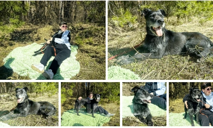 Собаки в Балашихе: Багги вернули в приют как ненужную вещь Девочка, Бесплатно - фото 1