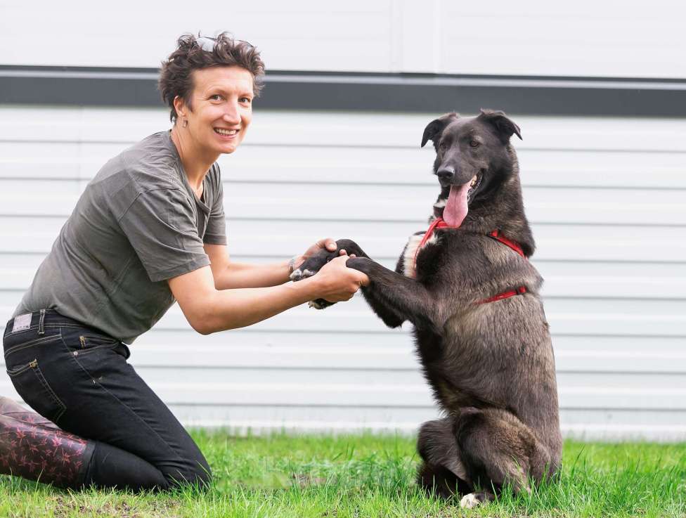 Собаки в Москве: Умнейшая малышка Жасмин! Девочка, Бесплатно - фото 5