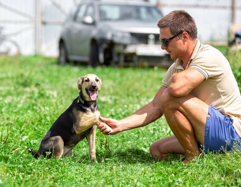 Собаки в Москве: Щенок Глория ищет семью Девочка, 1 руб. - фото 7
